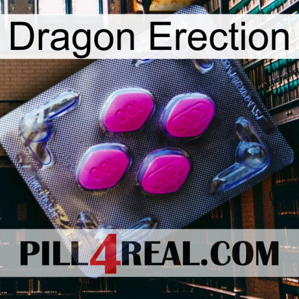 Dragon Erection 02.jpg